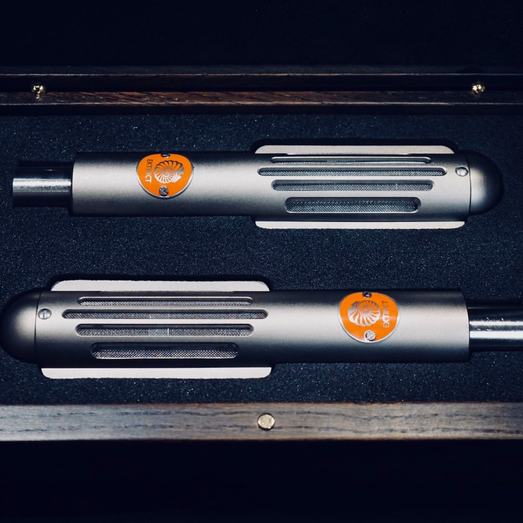 Extinct Audio BM9 Studio Ribbon Microphones - Matched Stereo Pair - Image 3