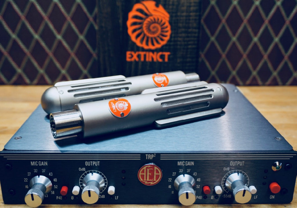 BM9 stereo pair and AEA TRP2 bundle Extinct Audio