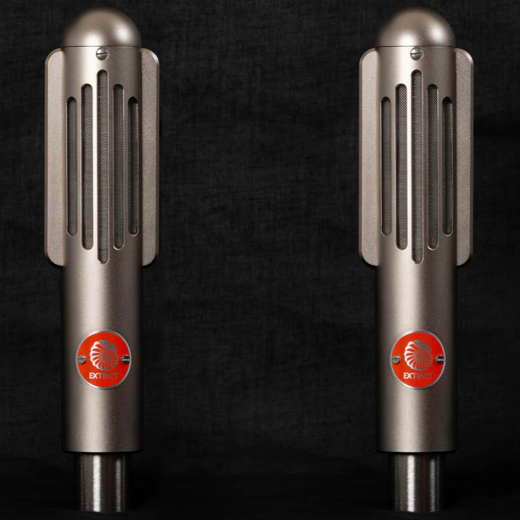 Extinct Audio BM9 Studio Ribbon Microphones - Matched Stereo Pair