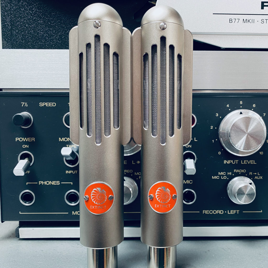 BM9 Studio Ribbon Microphone - Extinct Audio