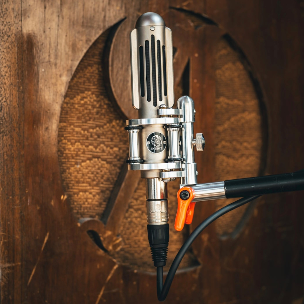 Extinct Audio 'Black Ops' Ribbon microphone - Image 3