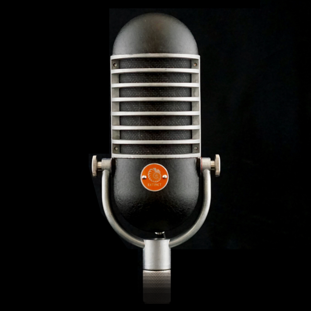BerZerker Ribbon Microphone - NEW