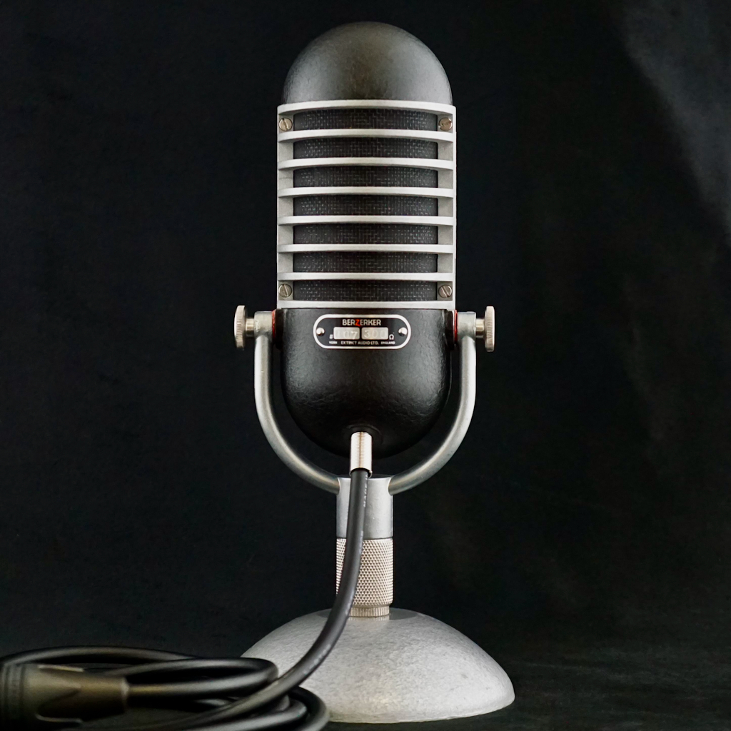 BerZerker Ribbon Microphone - NEW - Image 3