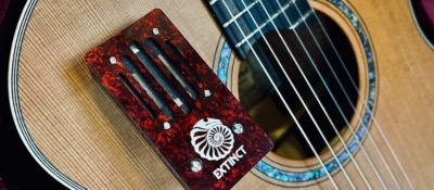 classical BoRbon Tort 2 - 1