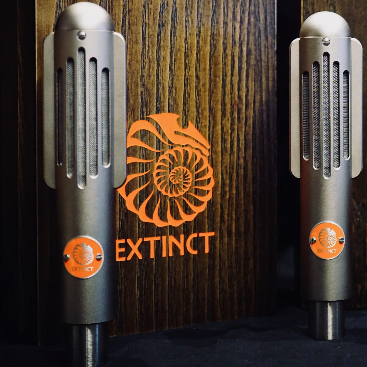 Extinct Audio BM9 Studio Ribbon Microphones - Matched Stereo Pair - Image 4